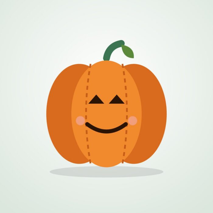 Pumpkin Plush Squeaky Toy